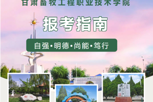 伟德体育官方网站报考指南