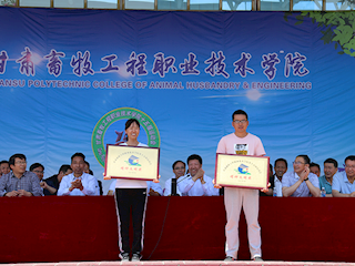 公司在公司第十五届运动会荣获精神文明奖